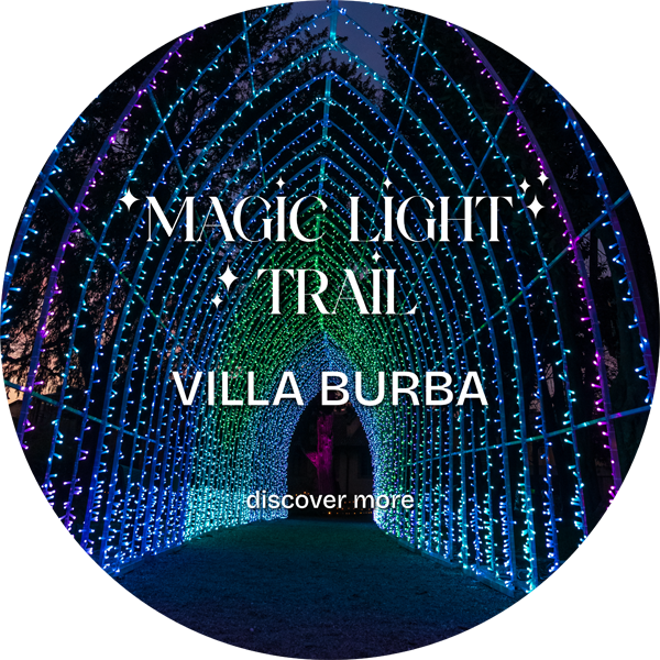 Magic Light Trail_Cerchio_EN-2